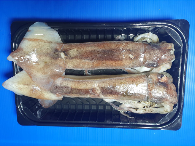 다원 급냉 오징어 2마리(포크랜드), 2개, 820g~900g 사이