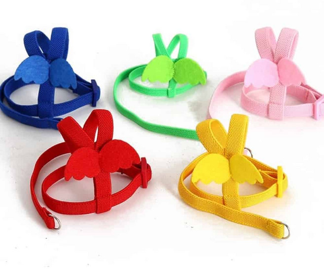 앵무새 하네스 새목줄 앵무새 리드줄 조류 가슴줄, XS, 1개, 레드