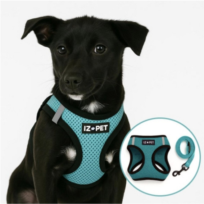 아이즈펫 메쉬 하네스 + 리드줄 SET 빛반사 기능 편안한 고급형 가슴줄 산책 필수템, 민트, 1개