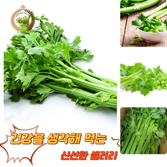 [굿피플] 셀러리 국내산셀러리 샐러리 celery 새러리 야채셀러리 셀러리스틱, 1kg, 1박스