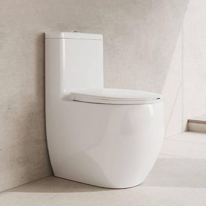 변기 소형 양변기 좌변기 55cm 공간절약 부품 수세식 절수 가정용 간이, 250mm, 550 직접 설치