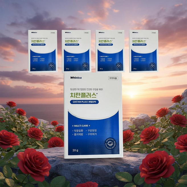 화이니카 치탄 플러스 분말치약 치탄플러스 가루치약, 5개, 20g