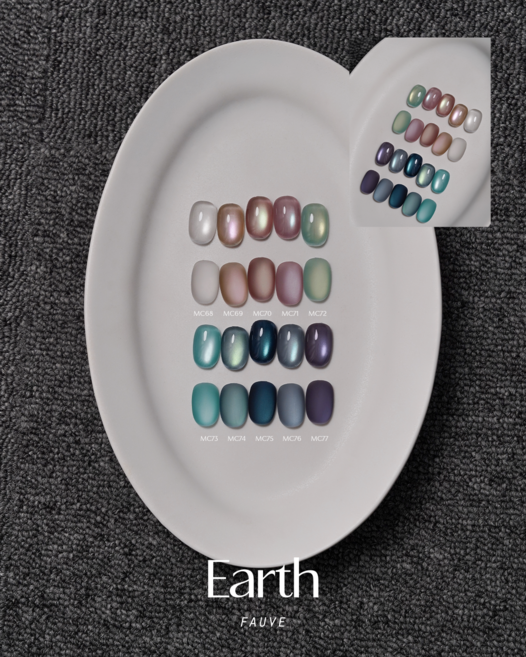 포브젤 어스 자석젤 오로라 젤네일 10종 컬러 세트, 1개, 10ml, 혼합 색상