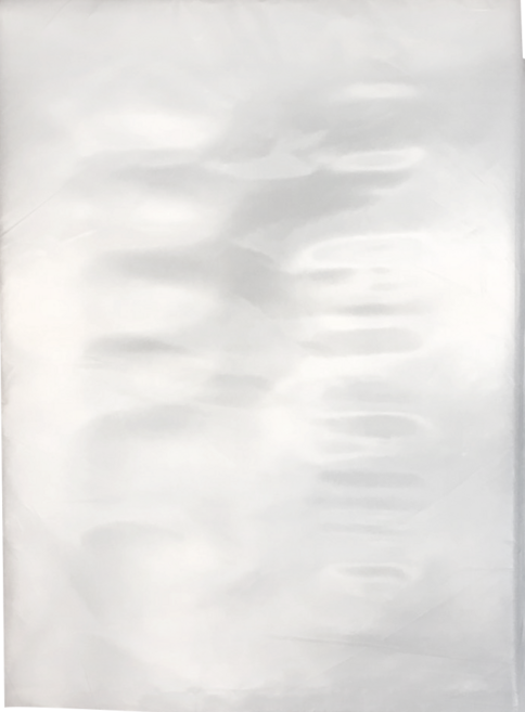 青葉牌 SGS食品級真空袋 三封袋 耐熱袋 尼龍袋 真空包裝機, 100個, 15X20CM