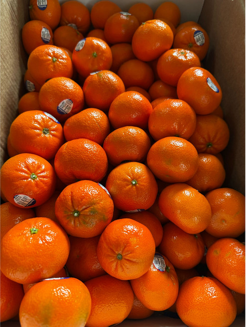[작년판매1위] 과즙폭발 황금 고당도 미국귤 만다린 1박스 1kg, 5kg