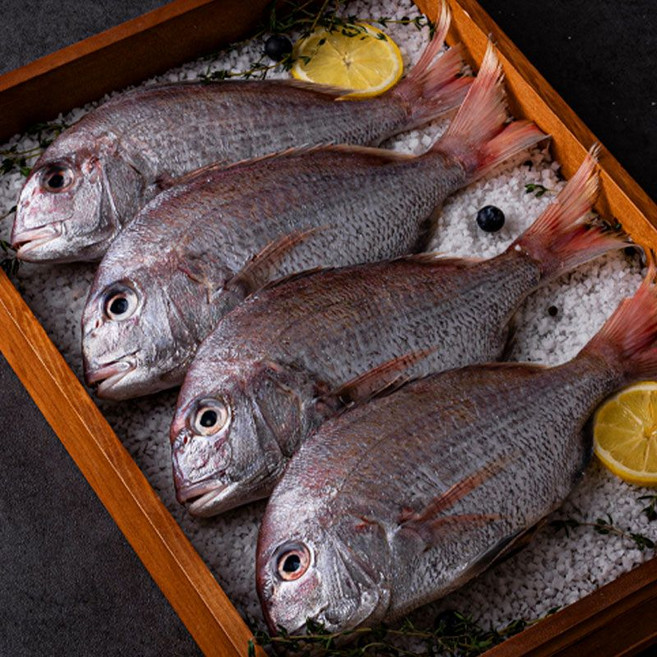 국내산 햇 손질 참돔, 7개, 300~400g