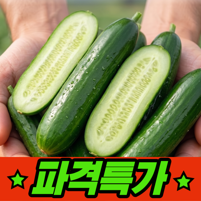 아삭 수분가득 국내산 미니오이, 1개, 1.5kg (30개내외)