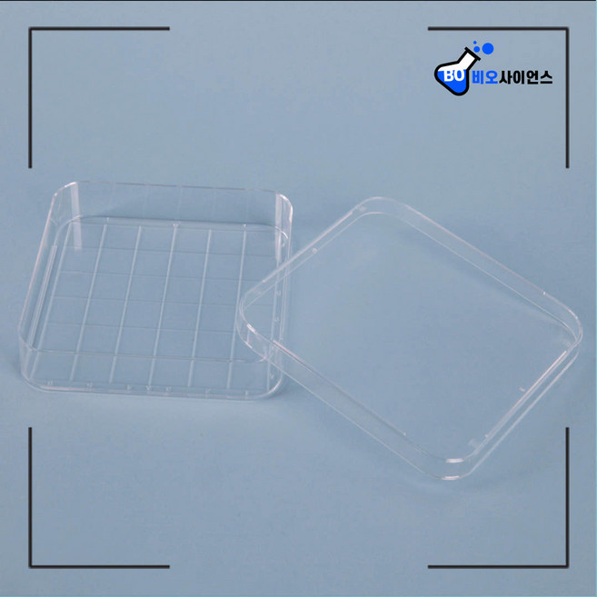 페트리디쉬 세균 배양 실험 검사 도구 플라스틱 패트리디쉬 사각 샬레 10개입, 10개