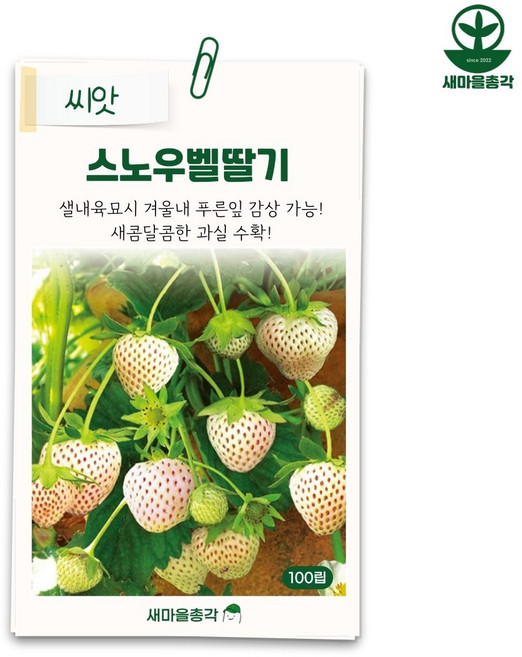 다농 스노우벨딸기씨앗 100립 흰색 종자, 1개