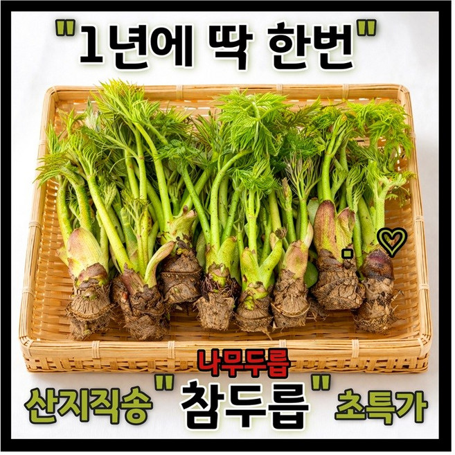 [초특가] "13900원부터~" 제철 나무 "참두릅" 국산 일년에 딱 한번! 1kg 500g 300g 두릅 초록담다, 1개