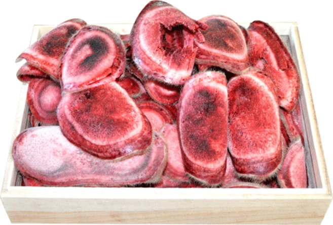 생녹용, 1개, 210g(특상대) - 쿠팡