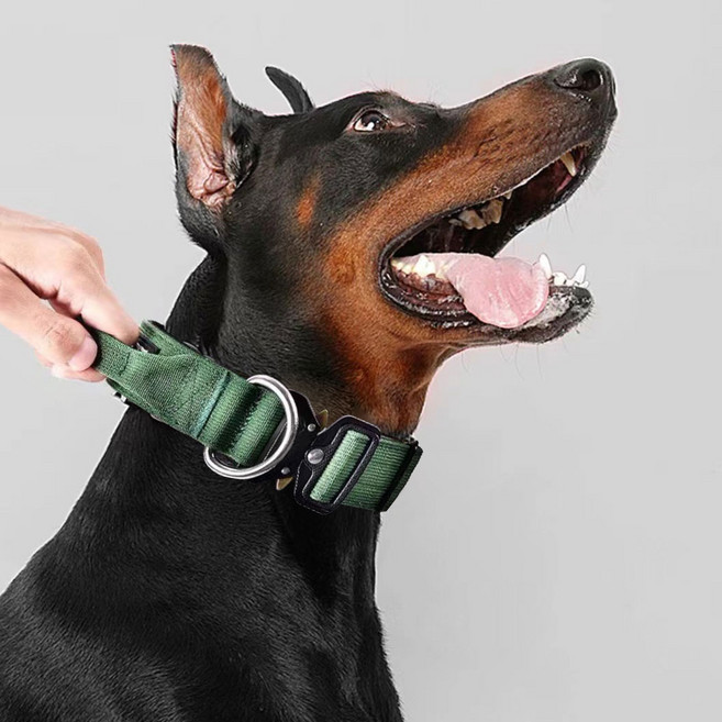 누즈펫 대형견 중형견 목줄, 그린, 1개