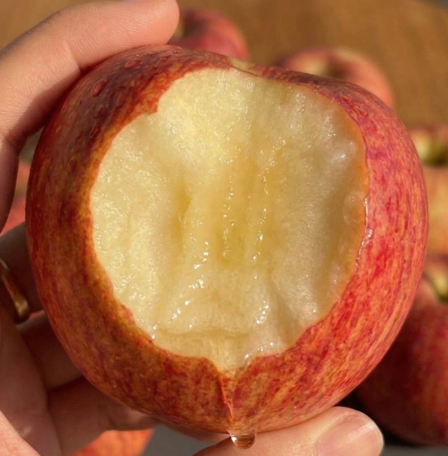 [파격특가] 꿀사과 부사사과 농장직송 가정용, 1박스, 꿀사과) 소과 1kg