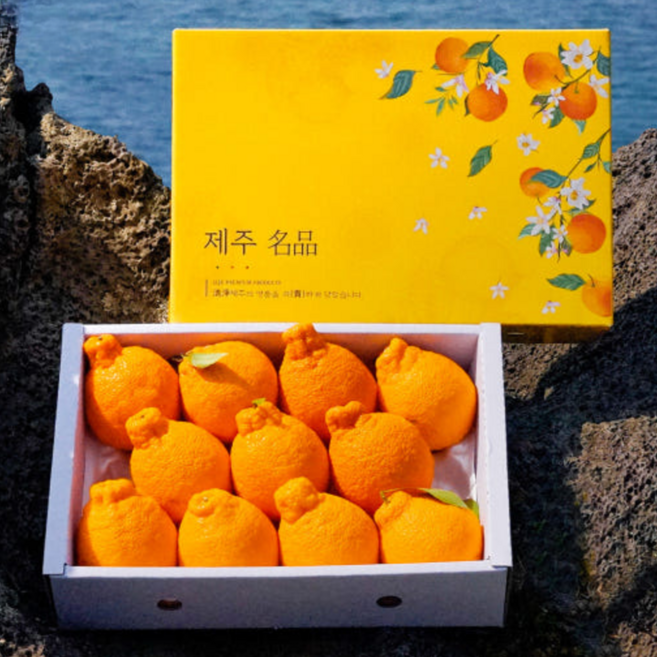 고품질 상큼하고 달콤한 제주 한라봉 정직한 상품 실 무게, 1박스, 5kg(중향)