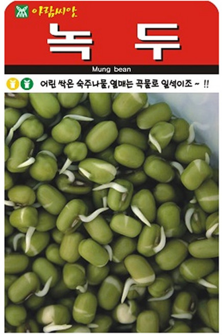 아람종묘 녹두 씨앗, 5개