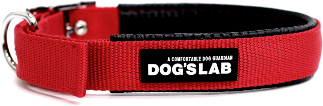 독스랩 강아지 목줄 중형견 대형견, 1개, 레드