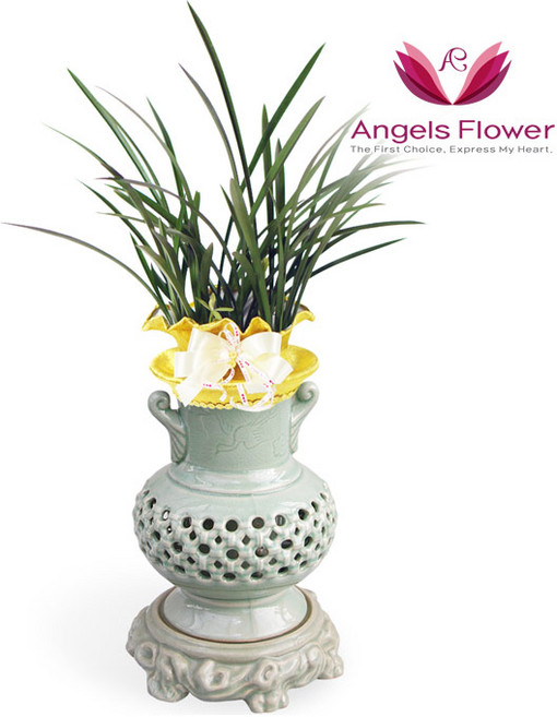 [엔젤스플라워] 마음을 전하는 축하화환 근조화환 축하화분 관엽식물 지역한정특가 꽃화환 당일배송 예약일배송, P202PR_철골소심 고급형, 1개, 1개