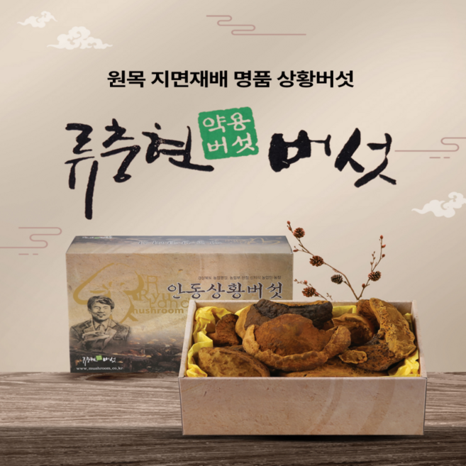 경북 버섯 명장이 보증하는 국내산 명품 상황버섯 - Dired Phellinus baumii (상품), 1박스, 500g