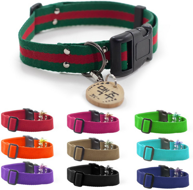 강아지목줄 이름표 세트 바이오, 베찌(레드그린), 1개