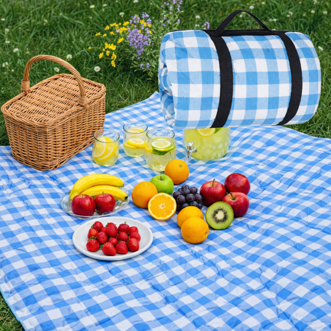 제이크림 대형 돗자리 야외 피크닉 매트, 블루 체크