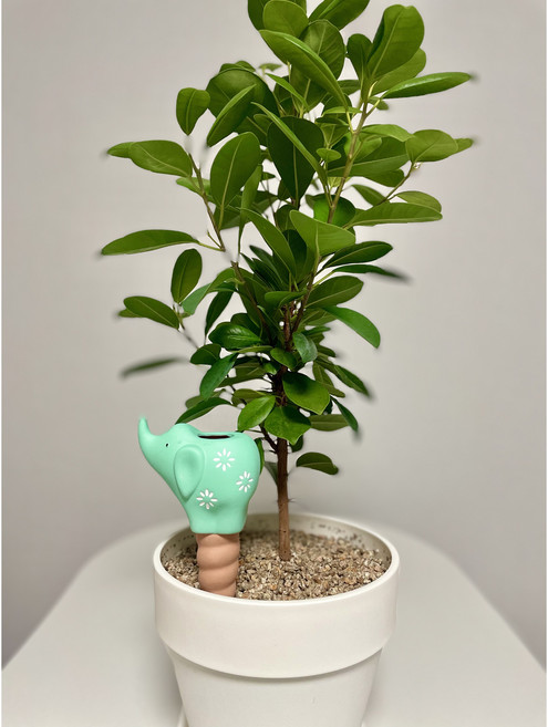 코끼리 모양 자동급수 화분 급수기 테라코타 식물 물주기, 핑크, 민트, 1세트