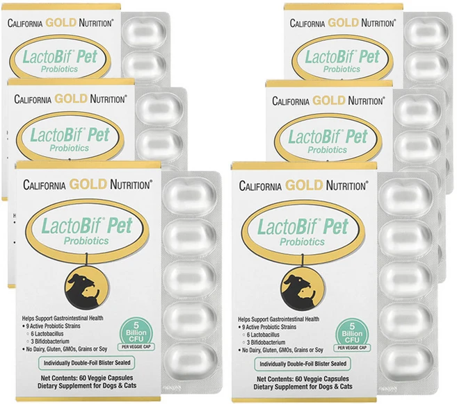 캘리포니아골드뉴트리션 LactoBif 반려동물 프로바이오틱스 50억 CFU 베지 캡슐 60정, 6개, 장건강/유산균 - 쿠팡