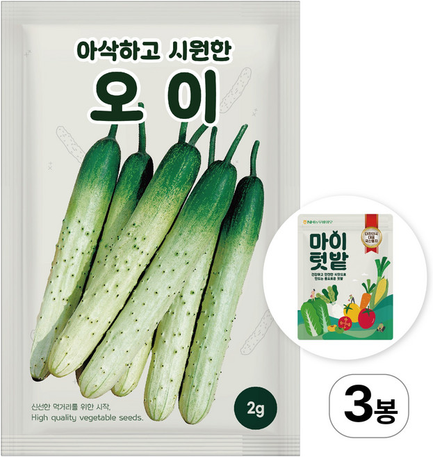NH농우바이오 아삭하고 시원한 오이 씨앗 종자 2g 2봉, 2개