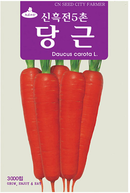신흑전5촌 당근 씨앗 3000립 당근씨 종자 키우기, 1개