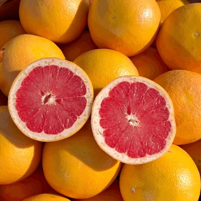 [오늘만특가] 프리미엄 고당도 레드자몽 이스라엘 직수입, 1박스, 중대과 5과