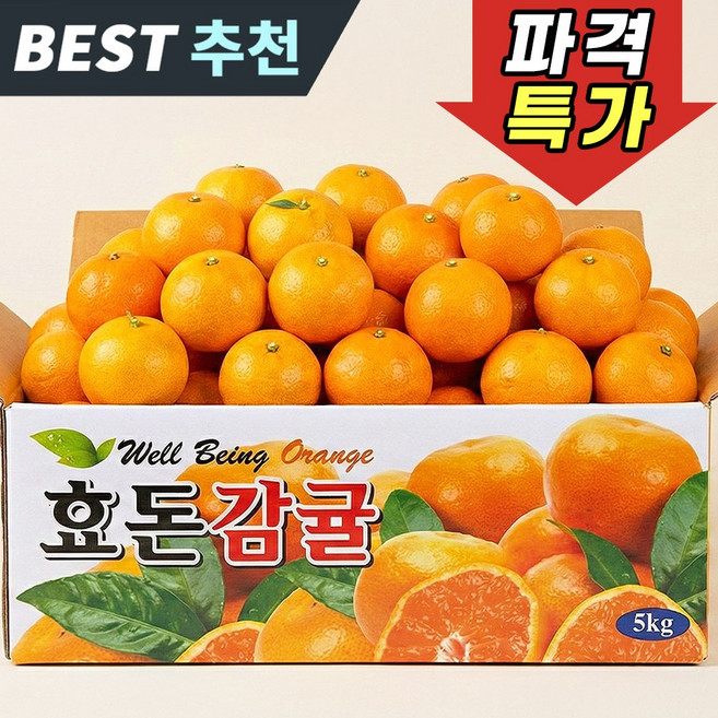 제주 서귀포 효돈 제철감귤, 1박스, 감귤 3kg 로얄과 (2S/S/M)