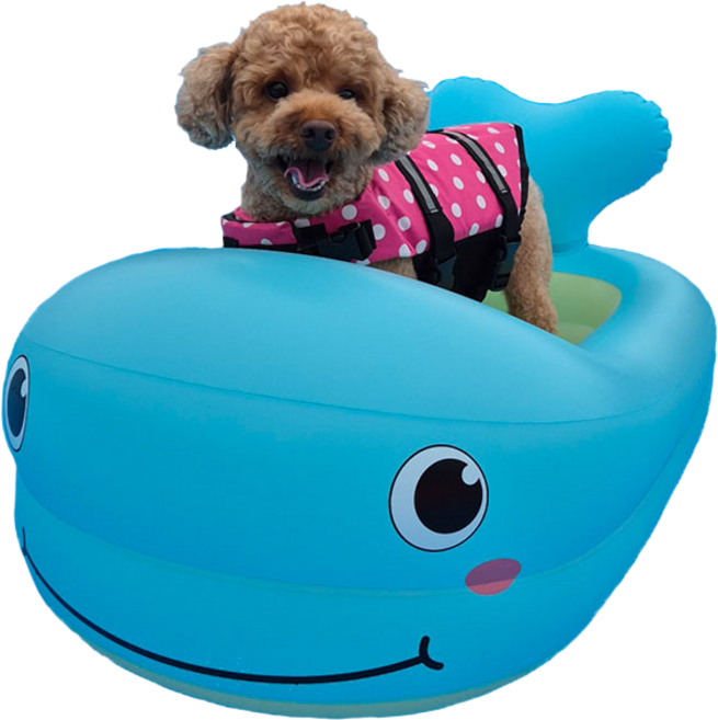 개인싸 강아지 애견 튜브 (파우치증정), 고래, 1개