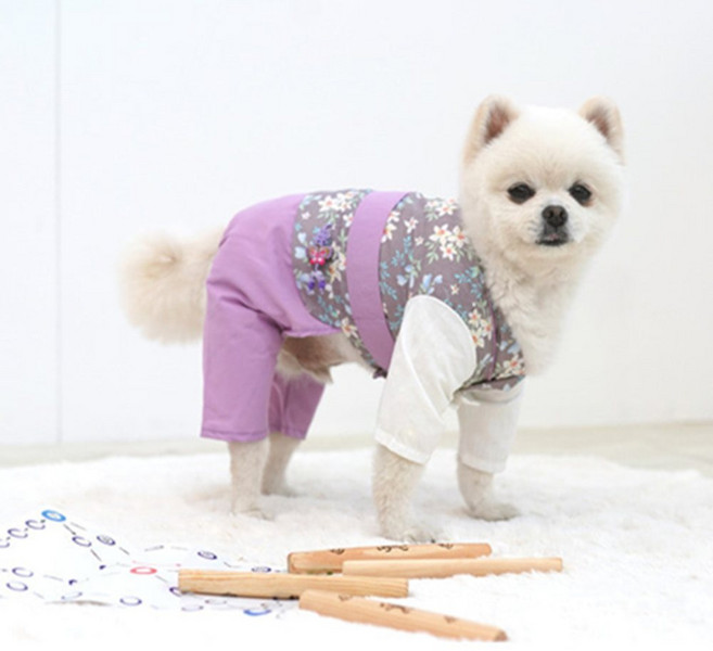 니즈플리 수컷용 애견명절옷 애견설빔 강아지전통의상 반려동물한복 강아지올인원한복, L 블루색