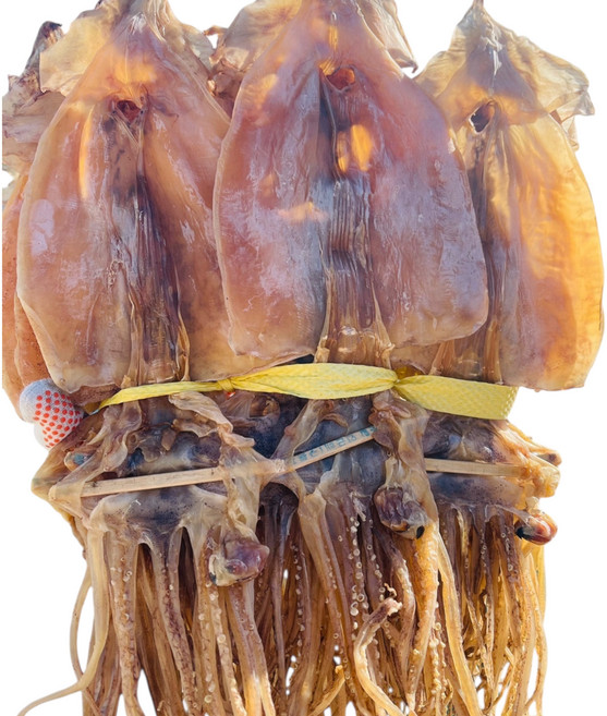 [수성호] 동해안 구룡포 건조오징어 마른 오징어 대 중 소 (10마리) 1박스, 1개, 중(600g)