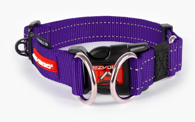 이지독 더블업 강아지 목줄, 퍼플, 1개