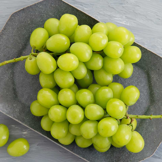 황금열매 고급 망고포도 샤인머스켓 씨없는 청포도 2KG 4KG 3-5수, 샤인머스캣 2kg (2-3수), 1개