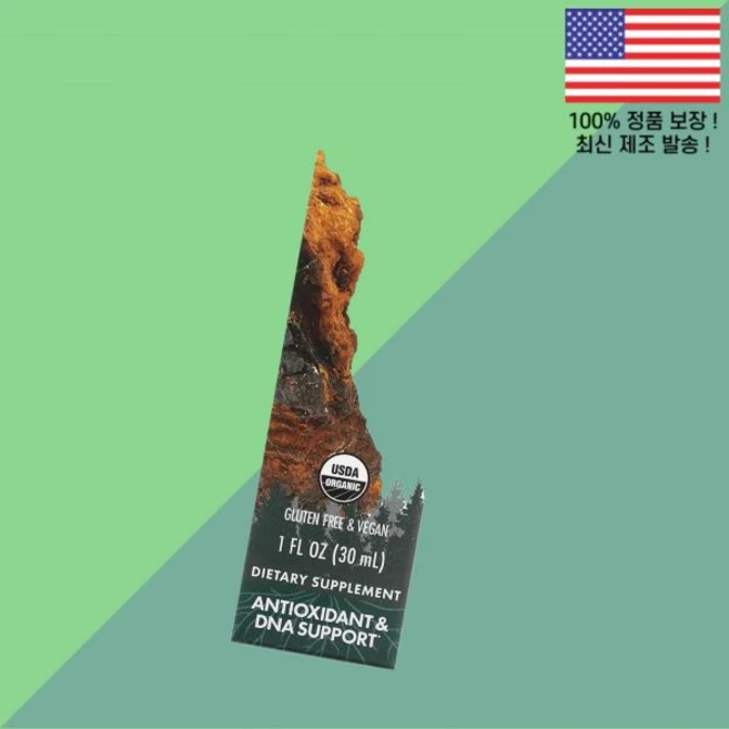 호스트 디펜스 버섯 차가버섯 추출물 1온스 30ml Host Defense Mushrooms Organic Chaga Extract 1 floz, 호스트 디펜스 버섯 차가버섯 추출물 1온스 30ml H - 쿠팡