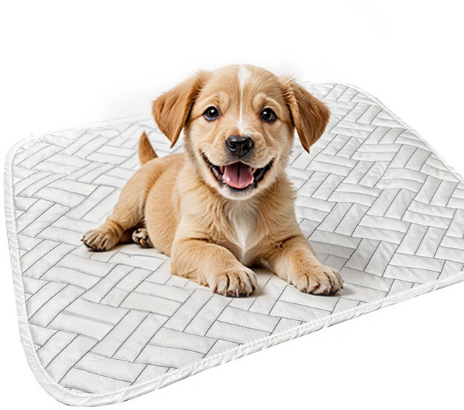 강아지 쿨매트 반려견 애견 여름 방석 대형견 중형견 소형견 쿨방석 (6 size), 화이트 (오블리), 1개