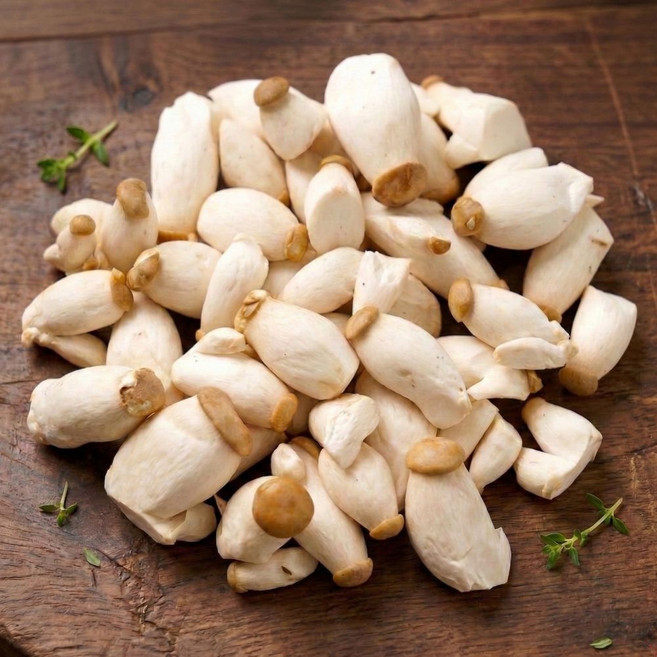 맛통령 미니 새송이버섯, 1개, 새송이버섯 3kg