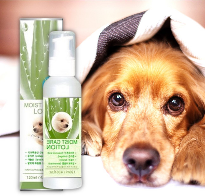 강아지코밤 강아지발코보습제 강아지 코건조 고양이 턱드름연고 코보습제 발바닥갈라짐, 120ml, 1개