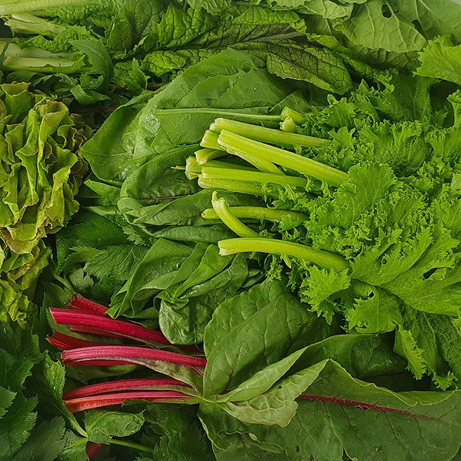 건강한 자연농원 모듬쌈채소 1kg, 1개, 3kg