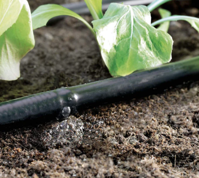 점적호스 국산 소량 100 300m 소규모텃밭용, 2) 20cmx100m, 1개