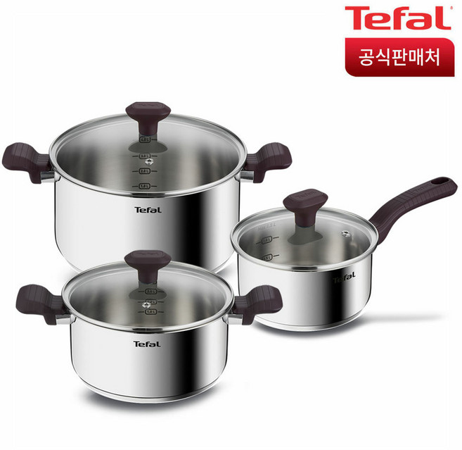 테팔 테이스티쿡 인덕션 냄비 3종(편수16+양수20+24), 단품, 은색, 1세트