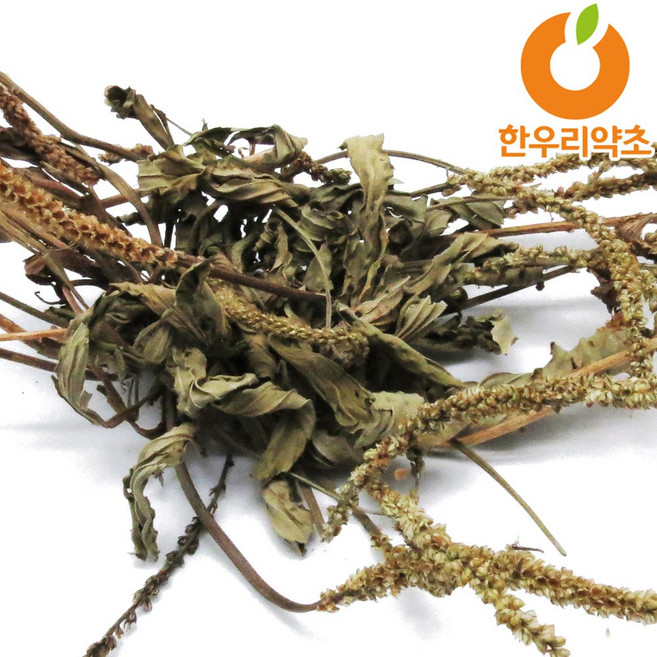 질경이차 300g 차전초 효능 먹는법 국산, 1개