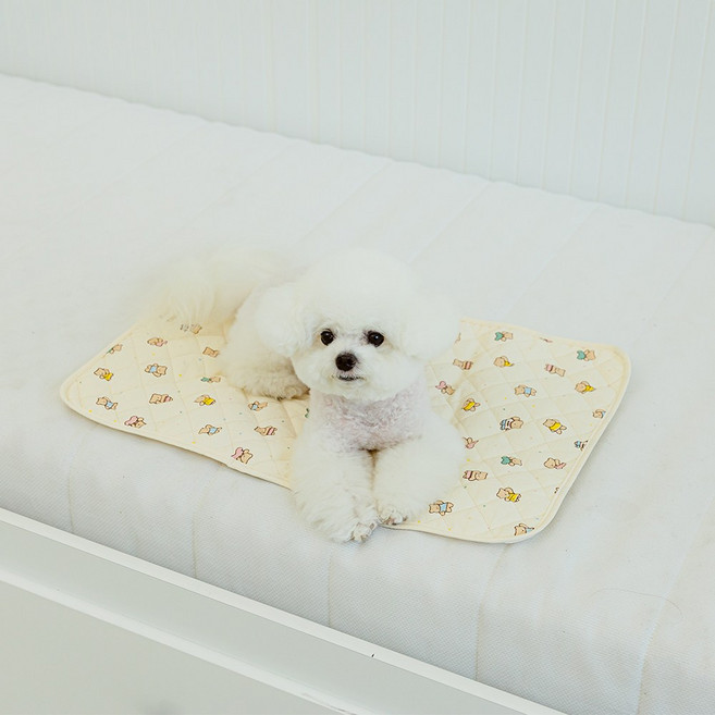 스카이몰 강아지 산책 매트, 1개, 크림베어