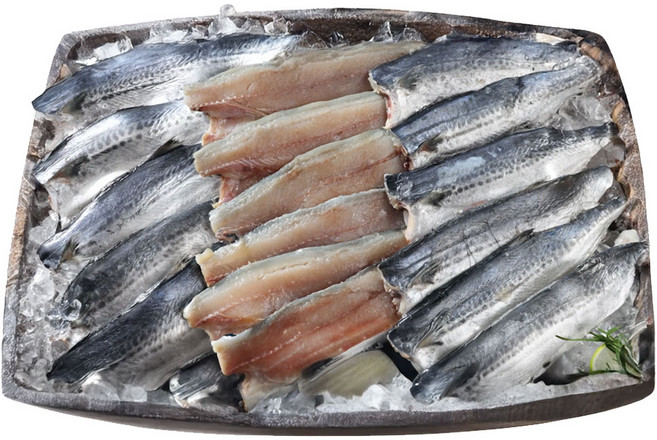 [TenTenPlus] 국내산 남해안 손질 등푸른 삼치/팔뚝삼치 필렛 진공포장/간편 조리 손질생선/28~30cm 사이즈 여수수협 수매, 1박스, 15필렛(2kg)