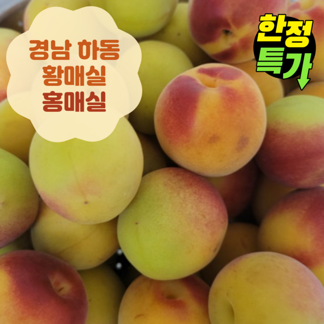 [한정판 특가] 백화점납품용 황제 황매실 홍매실 남고매실, 1개, 대 10kg