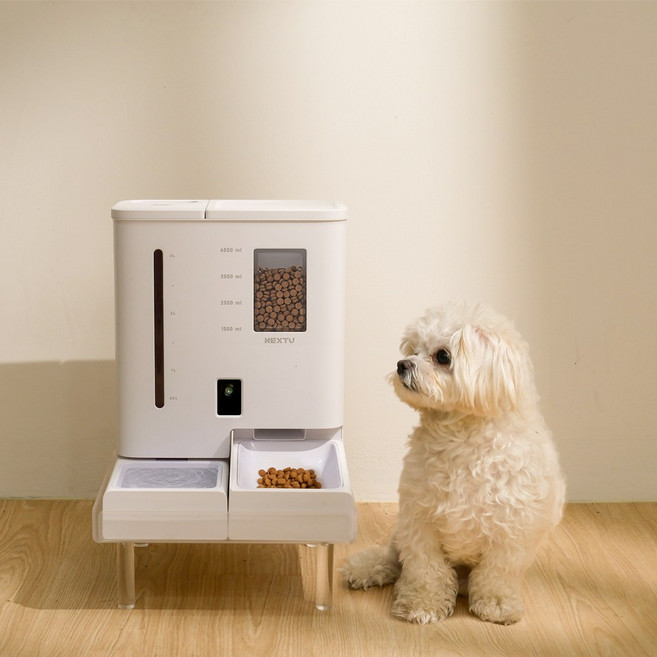 넥스트유 펫지니 올인원 반려묘 반려견 스마트캠 일체형 자동 급식기 급수기, 1개, 받침대+식기세트, 5L