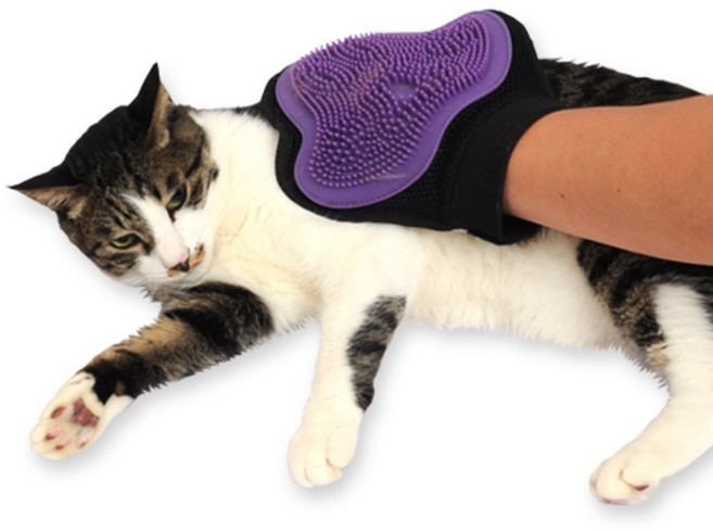 수퍼펫 러브러브 글러브 고양이 브러쉬, 1개