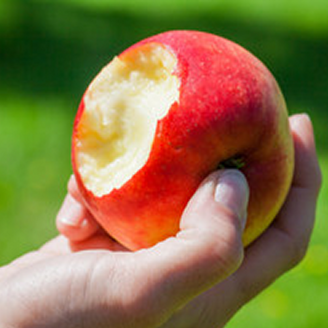 [상위1%의선택] 찐부자들 아침루틴 껍질째먹는 세척사과, 1박스, 2kg (14과 내외)