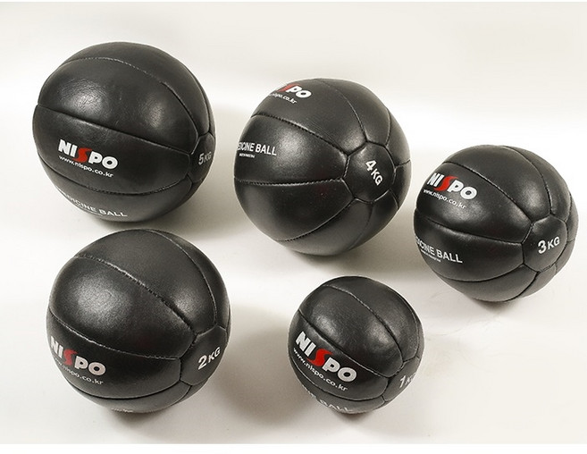 nicespo 메디신볼 체대입시용 가죽 1KG~5KG, 블랙, 4kg